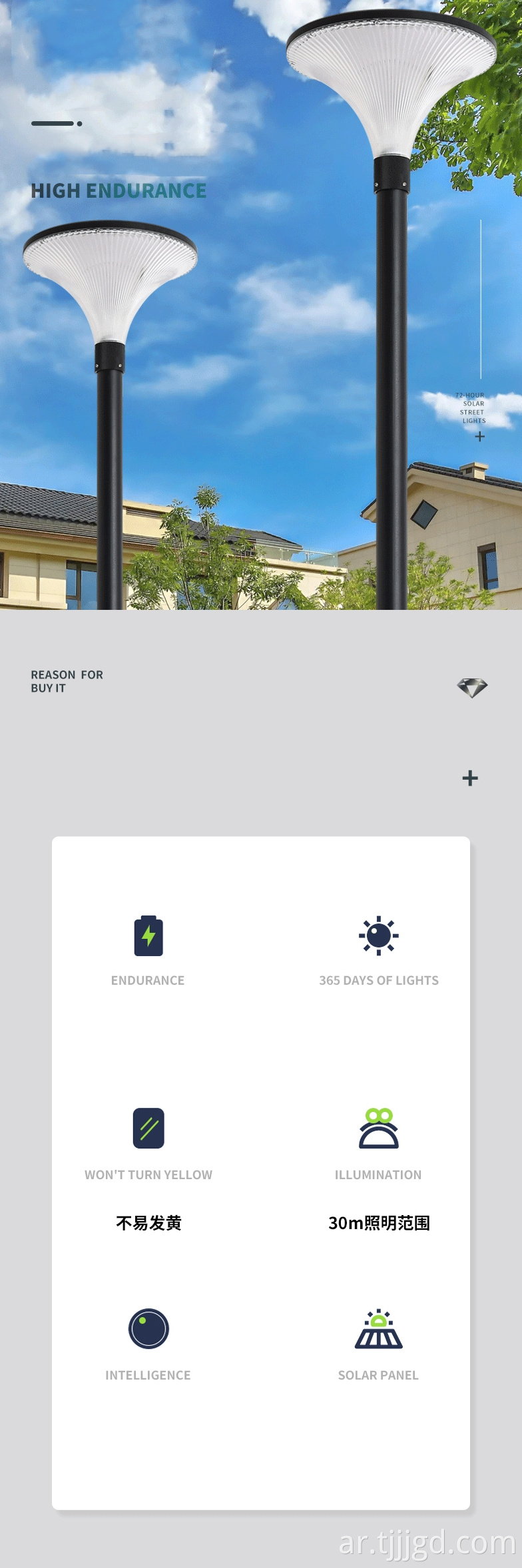 Outdoor 3-meter Street Light